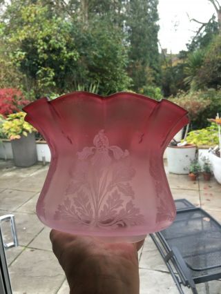 a victorian cranberry ruffle top oil lamp shade,  matt acid etched 2