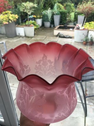 a victorian cranberry ruffle top oil lamp shade,  matt acid etched 5