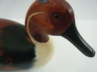 Vintage Pintail Gadwall Drake Wood Duck Decoy Glass Eyes 2