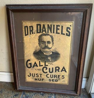 Antique Dr.  Daniels’ Gall Cura Veterinary Framed Advertising Sign Horse Medicine