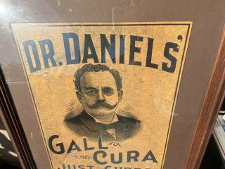 Antique Dr.  Daniels’ Gall Cura Veterinary Framed Advertising Sign Horse Medicine 4