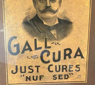 Antique Dr.  Daniels’ Gall Cura Veterinary Framed Advertising Sign Horse Medicine 5