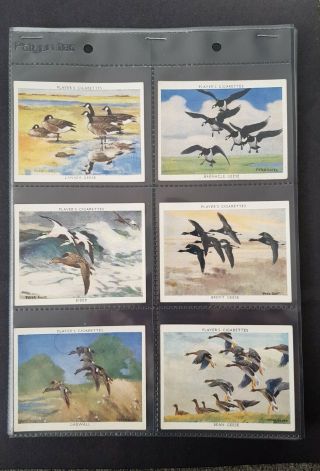 Cigarette Cards - Players - Wildfowl - Full Set 25 - Vg - Ex