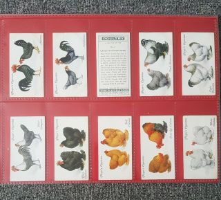 Cigarette Cards - Players - Poultry - Full Set 50 - Vg
