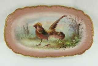 Antique Circa 1880 Pink Gold Limoges Game Bird Pheasant Platter Serving Dish