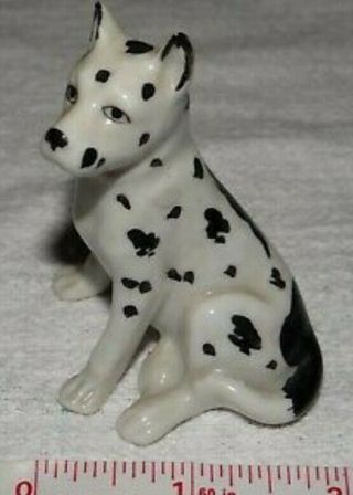 Vintage Germany Erphila Porcelain Dog Figurine Harlequin Great Dane/dalmatian 2