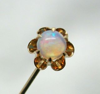 Antique 15 Carat Gold And Fantastic Opal Set Stick / Tie Pin
