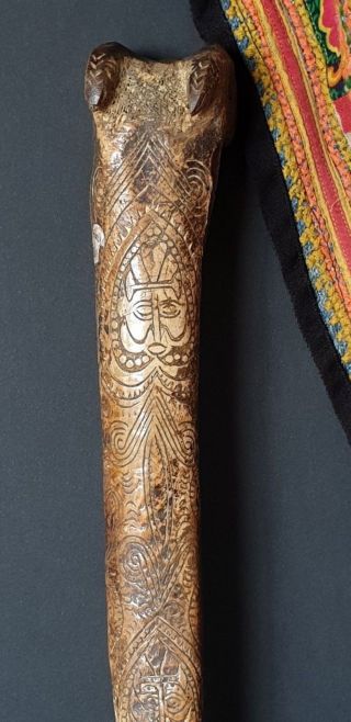 Old Papua Guinea Abalem Carved Cassowary Dagger …beautiful detail carving 2