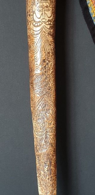 Old Papua Guinea Abalem Carved Cassowary Dagger …beautiful detail carving 3