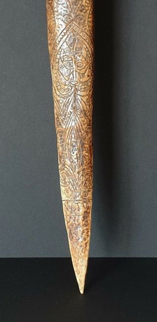 Old Papua Guinea Abalem Carved Cassowary Dagger …beautiful detail carving 4