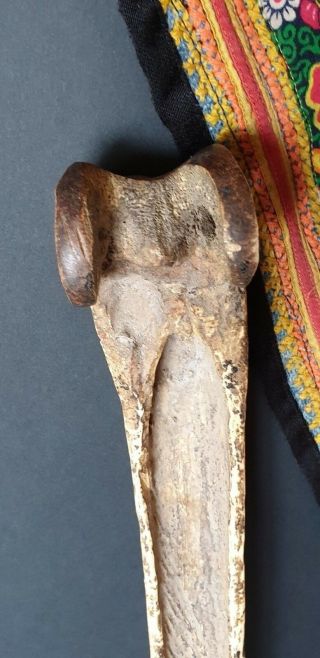 Old Papua Guinea Abalem Carved Cassowary Dagger …beautiful detail carving 6