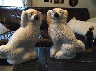 Stunning Antique Large Matching Staffordshire Spaniel Dog Statues 15 "
