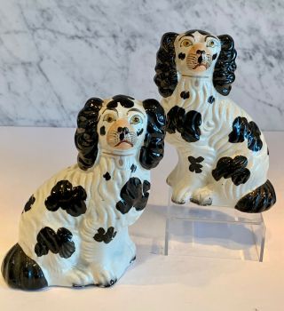 Pair Antique Staffordshire Comforter Spaniels Black White Dogs 19th Century 6.  5 "