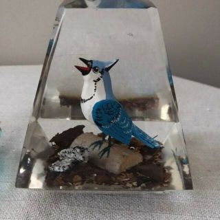 Vintage Canada Art Hand Carved Wood Bird Sculpture Paperweight Cased In Acrylic