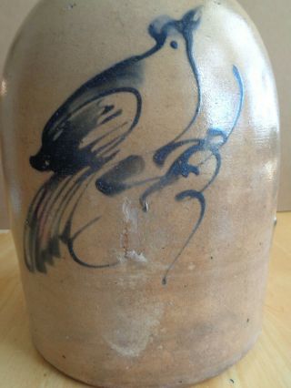 Antique Stoneware 2 Gallon Cobalt Bird Decorated Jug STONEWARE CO.  FORT EDWARD 3