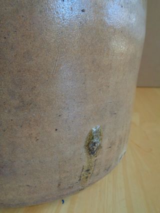 Antique Stoneware 2 Gallon Cobalt Bird Decorated Jug STONEWARE CO.  FORT EDWARD 5