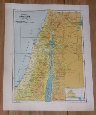 1936 Vintage Physical Map Of Palestine Israel Lebanon Jordan Jerusalem Haifa