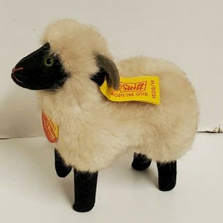 Steiff Little Ram Snucki 4” Black Face Mountain Sheep 1520/11