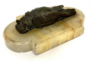 Lovely Antique French Desk Bronze / Paperweigh Of A Dead Bird