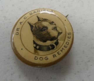 Antique 1896 Dr.  A.  C.  Daniels Dog Remedy Canine Remedies Vet Pinback Button Pin