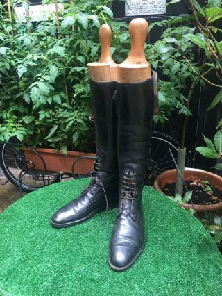 Vintage / Antique Leather Lace - Up English Riding Field Boots With Wooden Trees