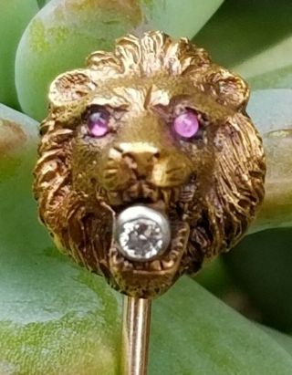 Antique Victorian 14k Gold Diamond Lion Head Stick Pin Estate Jewelry Boxed 4.  9g