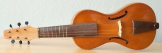 Very Old Labelled Vintage Viola Da Gamba " Walter Overmann " Fiddle Geige 961
