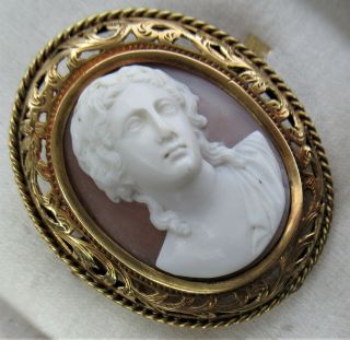 French Antique High Relief Carved Shell Portrait Cameo Gold Brooch Pin