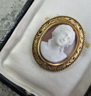 French Antique High Relief Carved Shell Portrait Cameo Gold Brooch Pin 2