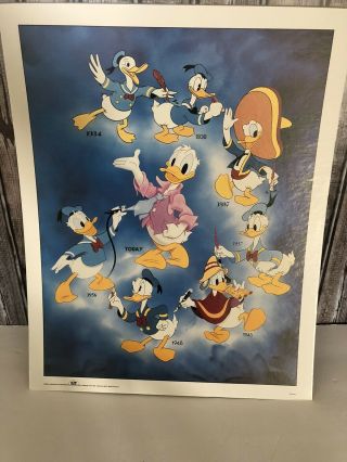 Walt Disney Donald Duck Cardboard Backed Picture Vintage Art 16”x 20” Rare