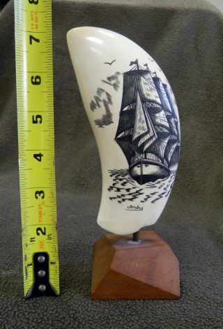 Vintage Faux Whale Tooth Scrimshaw Signed Andre