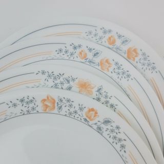 Set Of 8 Vtg Corelle Apricot Grove Dinner Plates 10 1/4 " Peach Blue Floral Bands