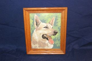 Vintage Oil Paint By Number German Shepherd Dog 8 X 10 Framed