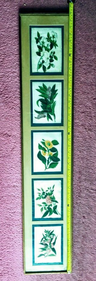 5 Chinese Late C19th 6.  3 " X 4.  5 " Pith Rice Paper Paintings Glazed & Gilt Framed
