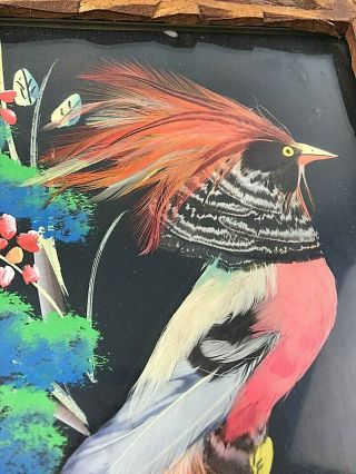 Vintage Bird Painting With Real Feathers In Unique Hand Carved Frame