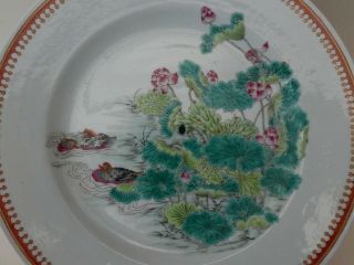 Fine Antique Chinese Porcelain Famille Rose Ducks Lotus Pond Plate Signed Qing