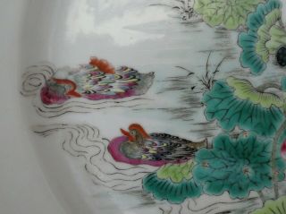 FINE ANTIQUE CHINESE PORCELAIN FAMILLE ROSE DUCKS LOTUS POND PLATE SIGNED QING 5