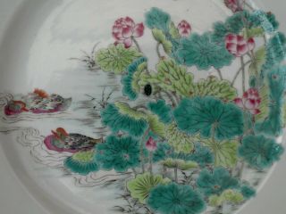 FINE ANTIQUE CHINESE PORCELAIN FAMILLE ROSE DUCKS LOTUS POND PLATE SIGNED QING 6