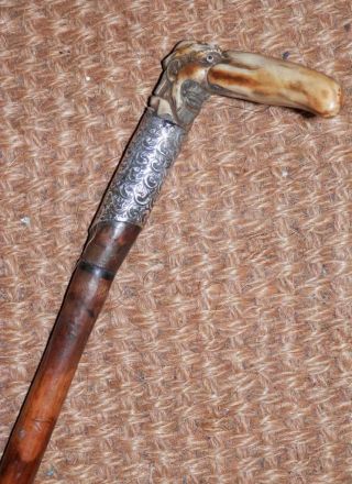 Antique Walking Stick W/ Hand Carved Grotesque Large Nose Man & Hm Silver Collar