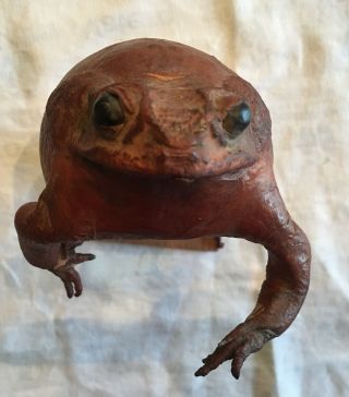 Vintage Taxidermy Leather Frog Standing 8” Tall