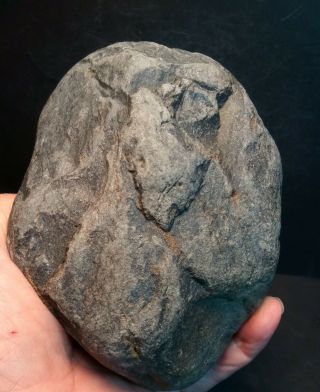 Prehistoric Paleo - American rock art sculpture multi tool. 5