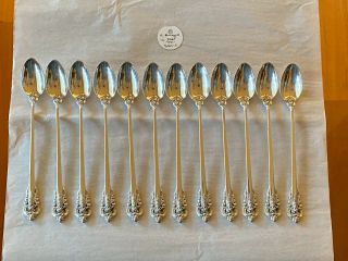 Set Of 12 Wallace Grande Baroque Sterling Silver 7.  5” Iced Tea Spoons