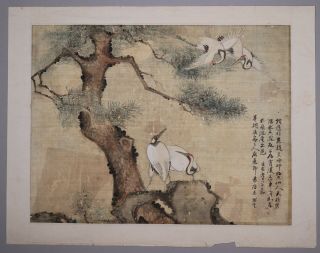Antique Chinese Painting On Silk Of Birds In A Landscape Seals Calligraphy 2