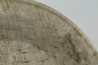 A GREAT EARLY 18TH C AMERICAN TURNED BIRCH PLATE EARLY RIM DESIGN IN OLD SURFACE 6