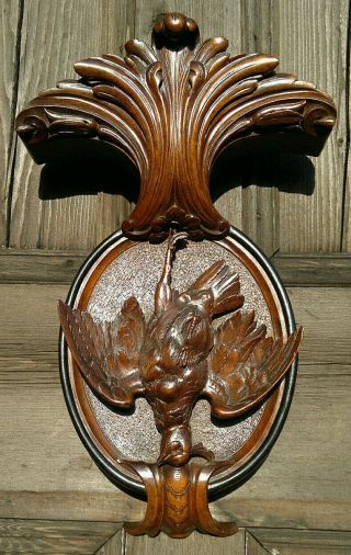 Antique Late 19c Black Forest Hand Carved Game Bird Wall Plaque Applique 17.  5 "