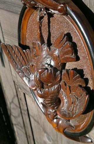 Antique Late 19C Black Forest Hand Carved Game Bird Wall Plaque Applique 17.  5 