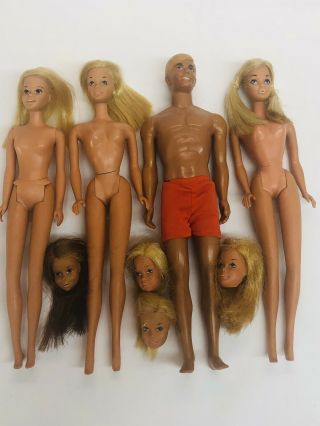 Vintage Malibu Barbie,  Ken,  Pj,  Francie And Heads
