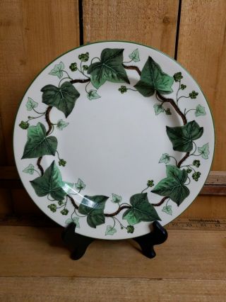 Vintage Wedgwood Napoleon Ivy 10.  5 " Dinner Plate With 1.  25 " Rim Am 4751 England