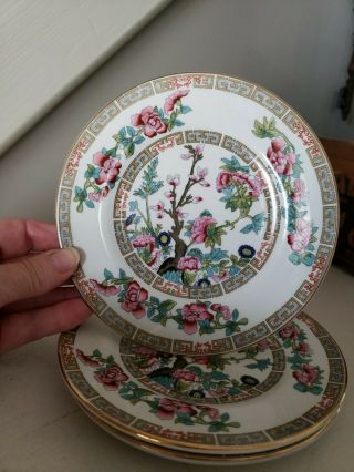 Vintage Indian Tree 3 - Bread And Butter Plates John Maddock & Sons England