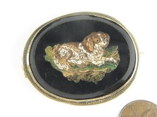 Antique Victorian Silver Gilt Spaniel Dog Micro Mosaic Brooch C1860